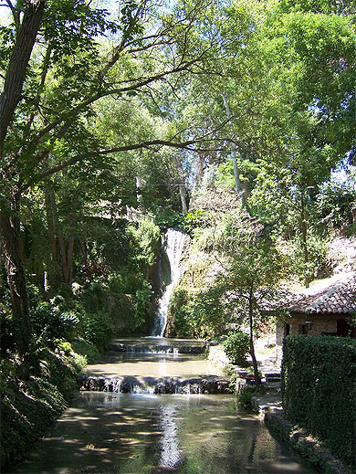Jardin botanique