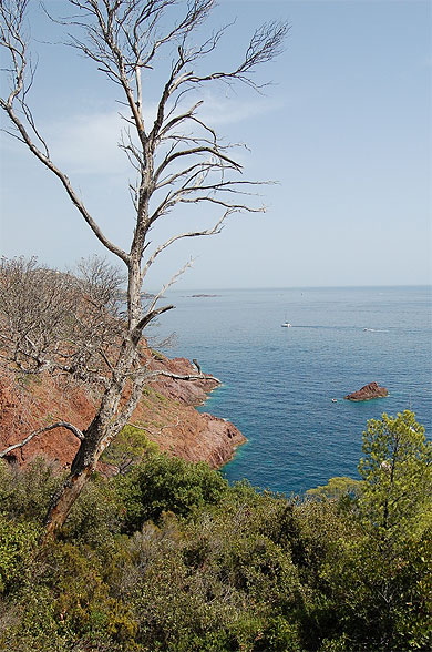 Vue sur la mer depuis le Dramont