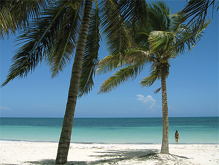 Plage de Cayo Levisa