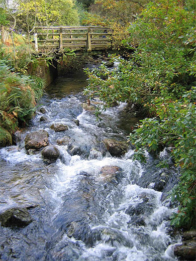Torrent