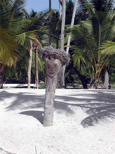 Tiki dominicain...chevelu !