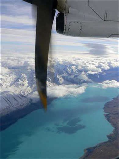 En haut des cimes n�o-z�landaises