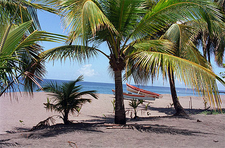 Plage du carbet