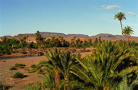 Oued � Tiffoultoute