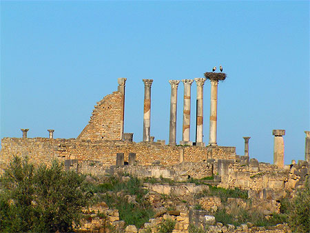 Colonnes