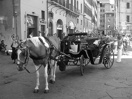 Sieste dans la cal�che