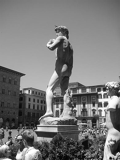 David noir et blanc