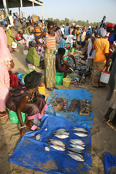 Retour des p�cheurs au port de Mbour