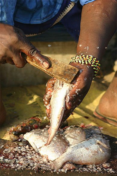Retour des p�cheurs au port de Mbour