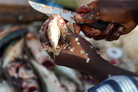 Retour des p�cheurs au port de Mbour