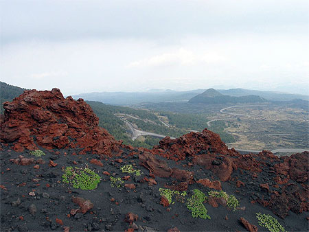 Sur les flancs de l'Etna