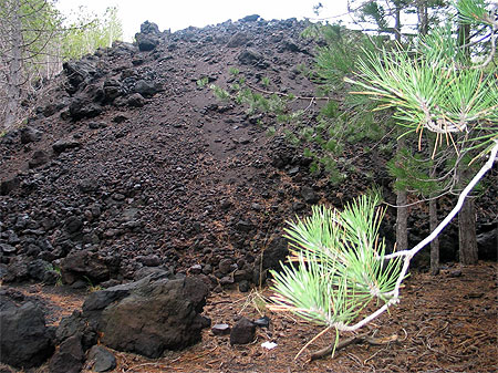 Etna (Coul�e de lave)