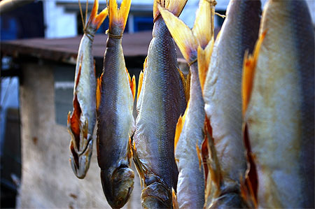 Poissons s�ch�s