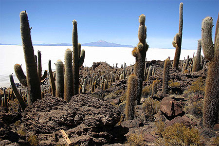 Vue sur l'Isla de pescadores