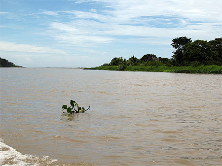 En route vers le parc national de Tortuguero