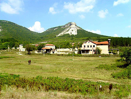 Ferme