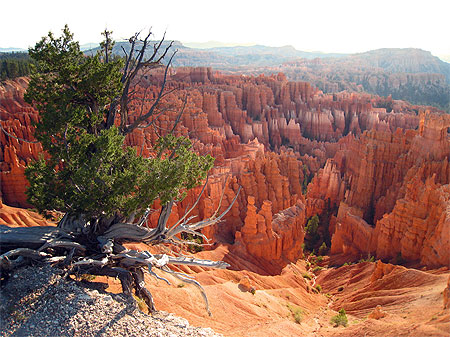 Bryce Canyon