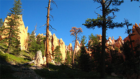 Bryce Canyon
