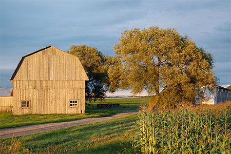 Ferme traditionnelle qu�becoise