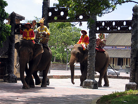 Balade en �l�phant dans l'ancienne cit�e imp�riale de Hu�