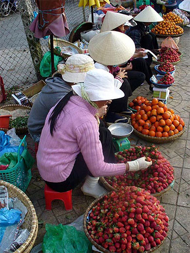Marchandes de fraises