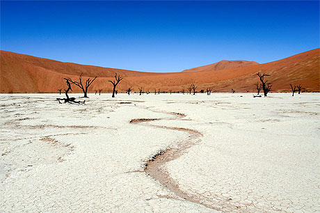Dead Vlei