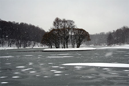 Froid