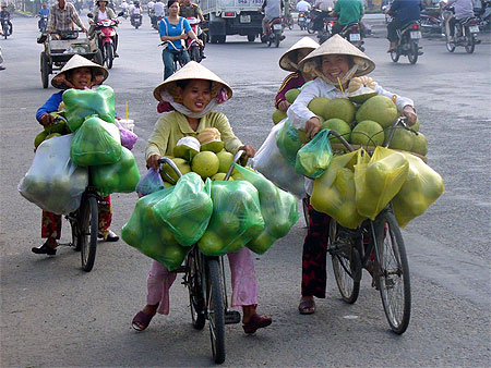 Livraison de pomelos