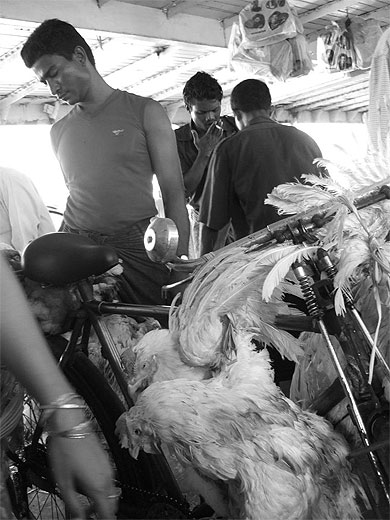 Sur le bateau traversant le Yangon