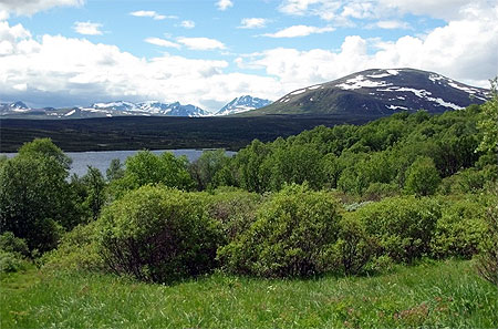 Le plateau de Dovre