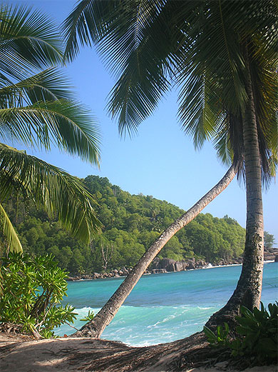 Anse Takamaka - Mah�