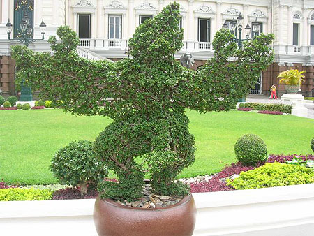 Art du jardinage