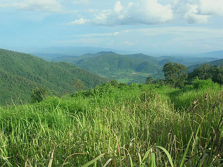 Paysage