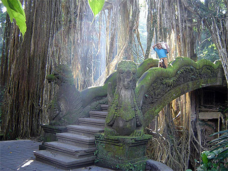 Monkey Forest