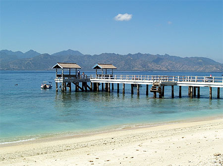Ponton