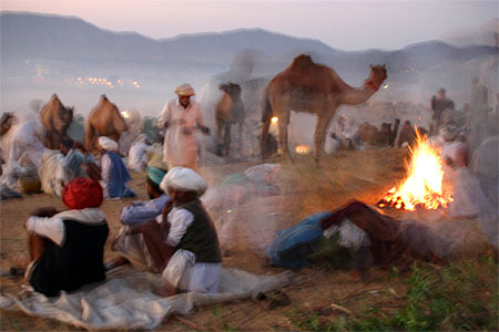 Lors de la foire aux chameaux de Pushkar