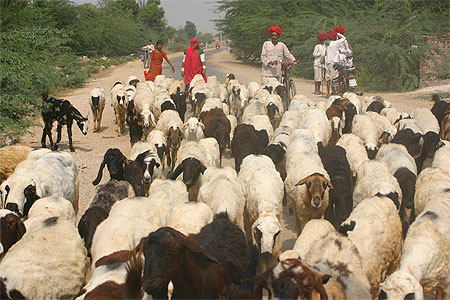 Divers countryside India