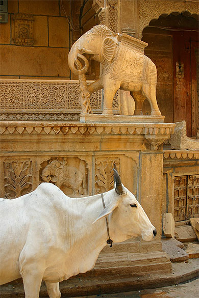 Dans et autour de Jaisalmer