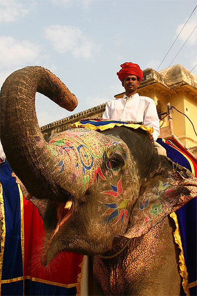 Divers Rajasthan