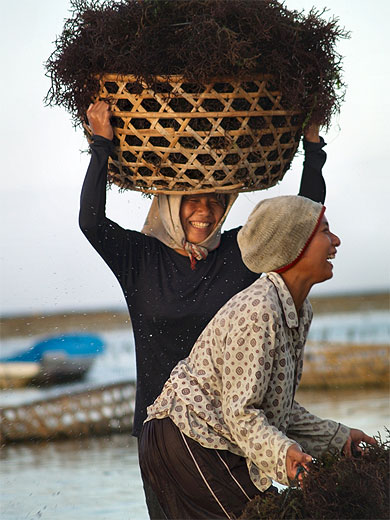 Avec le sourire