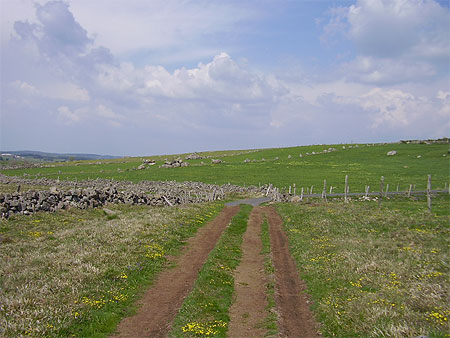 Route de l'Aubrac