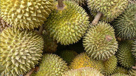 Durian