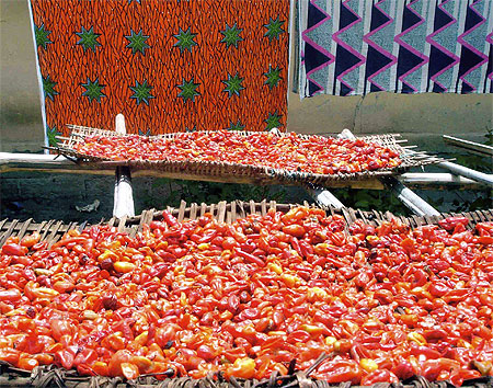 Pagnes et piments au s�chage