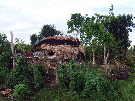 Habitation maya typique