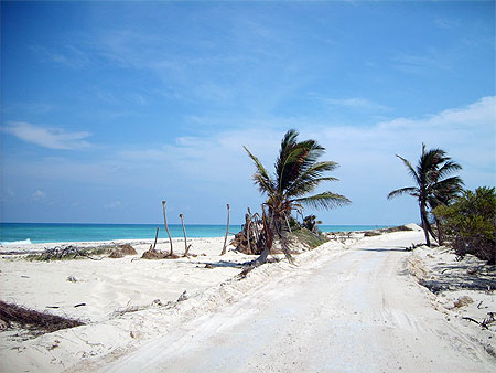 Route vers Punta Allen