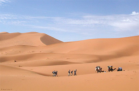 M�har�e du c�t� de Merzouga