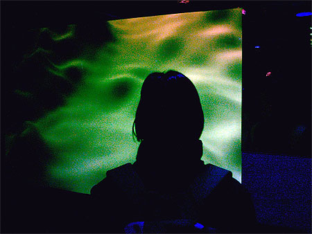 Silhouette � Vulcania