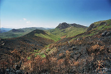 Les " Zones d�grad�es " des hauts plateaux
