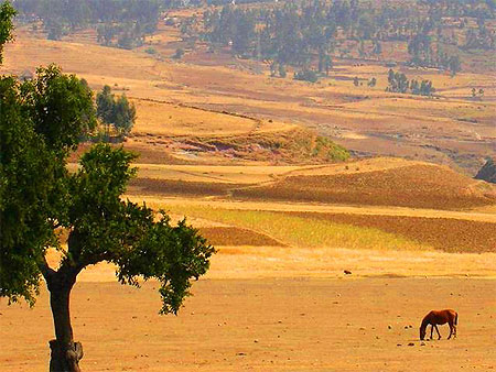 Route historique Addis - Lalibela