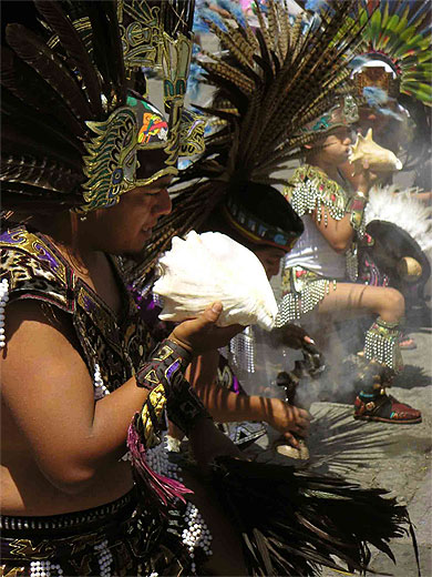 Entre plumes et coquillages